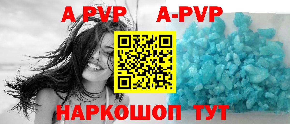 A-PVP СК Новодвинск