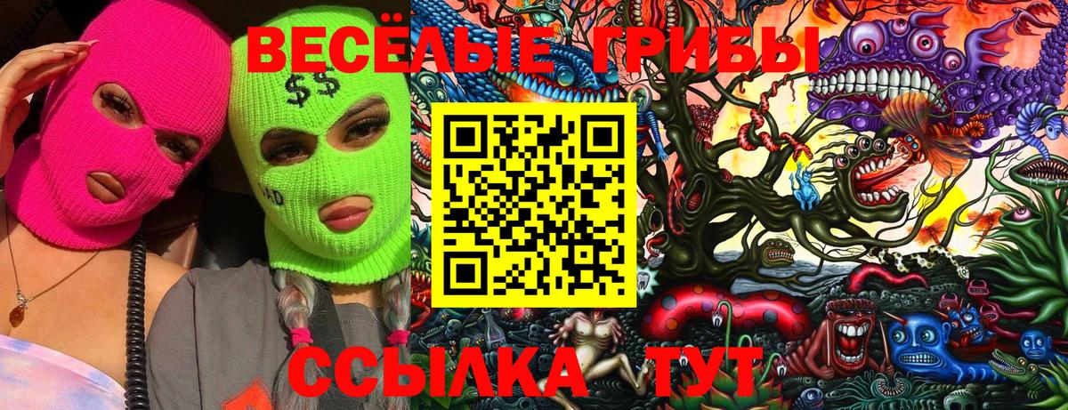 Новодвинск  Псилоцибиновые грибы Magic Shrooms  Вход с VPN 