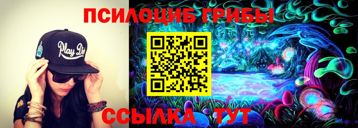 Псилоцибиновые грибы Psilocybe Новодвинск